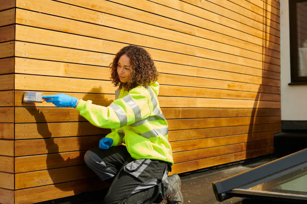 Best Storm Damage Siding Repair  in Proctor, VT